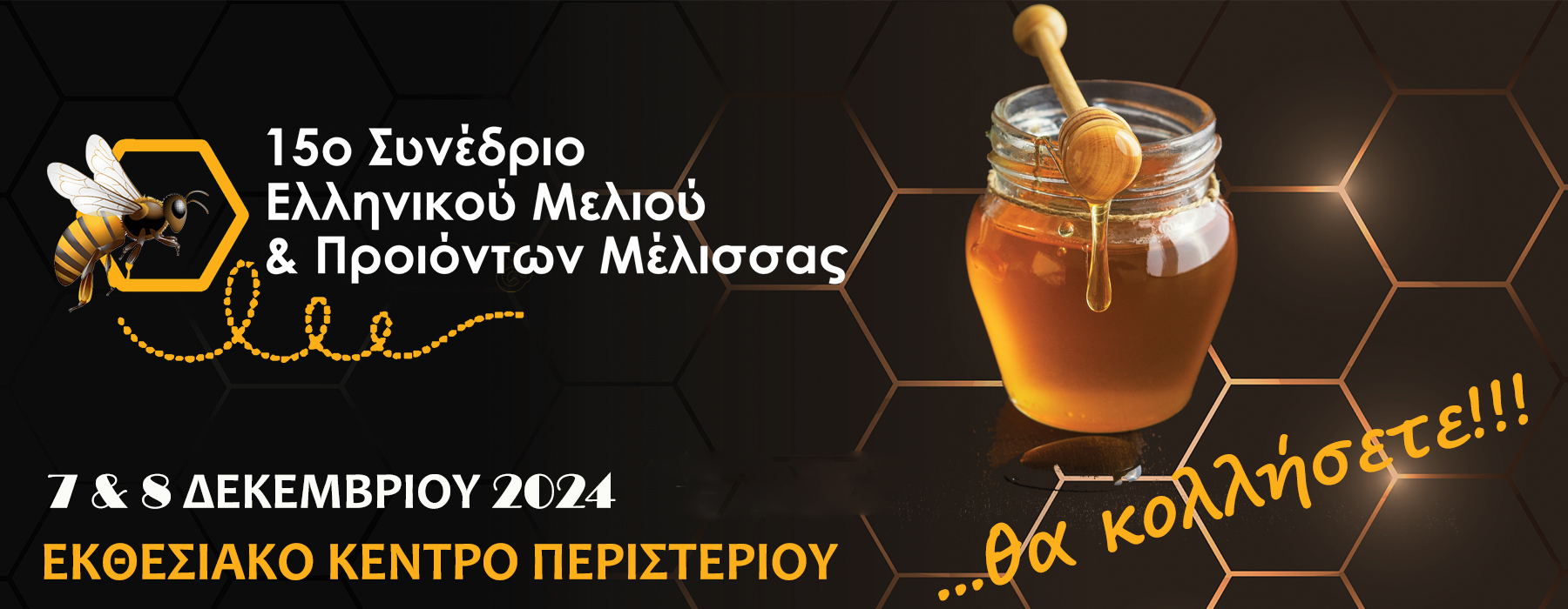 fest banner 2
